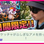 【ポケモンGO】運命を分ける〇〇〇〇！？死者の日2023で「色違い花飾りカラカラ」を狙え！２日間で色違いに出会うための「秘密の戦略」教えちゃいまスペシャル♡【最終日限定ボーナス】