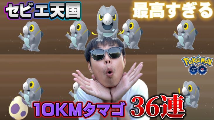 セビエ出まくり！？ヤバすぎる！10KMタマゴ36連【ポケモンGO】