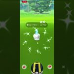 初めてです‼️  色違い２匹連続‼️  ミニリュウ　ヒトモシ　ポケモンGO  ゲット‼️