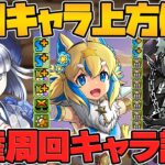 最強周回サブ誕生！リーチェも多色で大活躍！闇ラジョア武器がやべえ！正月キャラ強化解説Part.2！【パズドラ】