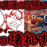 [トレクル]超海賊祭決勝TOP100戦! ニカぶっ壊れがすぎる…各試合を早期決着させ早めに寝る3日目[OPTC]