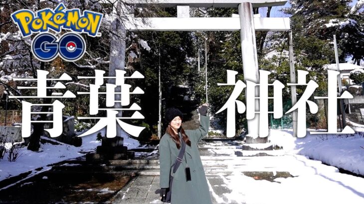 数量限定?! 青葉神社に駆け込んできました!!【ポケモンGO】