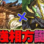 正月ノルディス×緑関羽がシヴァドラを完全破壊？人権確定です【パズドラ】