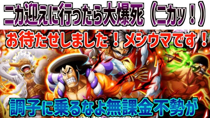 【超スゴフェス第3弾】調子こいてニカ迎えにいったら大爆死して後悔した！ONE PIECE Treasure Cruise｜OPTC｜航海王｜海賊【トレクル】