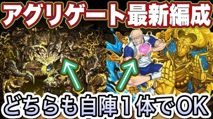 【パズドラ】アグリゲートとネテロの相性は最高！最新編成で裏万寿をお散歩します！