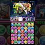 【パズドラ】クロロ 運用を考えてみた【恐ろしく速い編集　見逃さないでね】