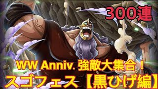 トレクル！WW Anniv.強敵大集合！スゴフェス【黒ひげ編】！第1弾！一気呵成 300連！周年記念の超スゴいヤツ黒ひげ、バージェスが新登場！《OPTC》