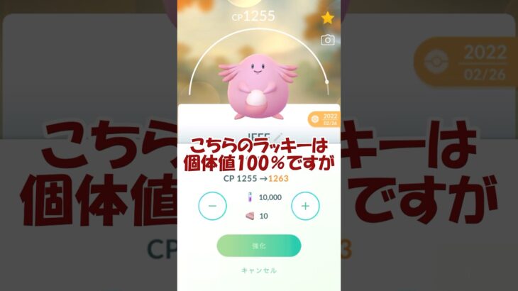 ラッキー(ハピナス)PL50フル強化 #ポケモンgo #pokemongo #communityday