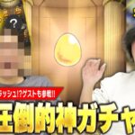 【モンスト】しろ、圧倒的神ガチャで神引き連発＆運極ラッシュに突入！？『プレミアムセレクションガチャ』ゲストと一緒に引き散らかす！【しろ】