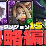 【クエストダンジョン15】メルエムでウキウキ攻略で石回収！【パズドラ】