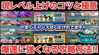 【ドラクエウォーク】職業レベル上げを爆速に進めていく中で意識していること！この方法で快適にレベル上げが出来ています！【DQウォーク】