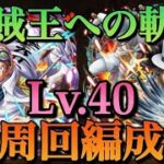 「トレクル」海賊王への軌跡vsコビー＆ルッチ　周回編成！