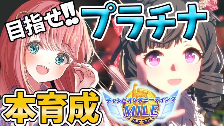 【ウマ娘 育成】チャンミマイルへ向けてダイイチルビー本育成！ #ウマ娘プリティーダービー【新人Vtuber 寿ほまれ】 #ウマ娘 #寿ほまれ