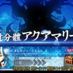 【FGO】オルガマリークエスト２　記録用攻略動画【Fate/Grand Order】
