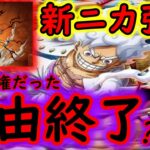 [トレクル]10周年フェス限新ニカ全性能判明! 海賊祭強い!? いよいよ強キャラ多い自由タイプを抑えていくか?[OPTC]