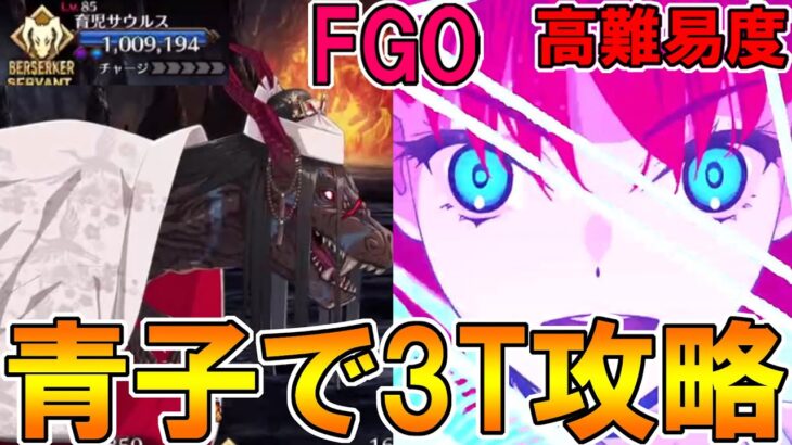 【FGO】きっちり3Tもできる！蒼崎青子で高難易度攻略！【Fate:GrandOrder】「カルデア･サマーアドベンチャー！ ～夢追う少年と夢見る少女～ アンケート復刻版」