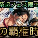 10周年超スゴフェス！海賊祭性能！新フェス限エース！技の覇権時代！［OPTC］［トレクル］［ONE PIECE　Treasure　Cruise］［원피스 트레져 크루즈］［ワンピース］