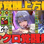 新要素「シンクロ覚醒」追加！変身キャラに革命！覚醒スキル上方修正も！ちょっと先の開発情報！【パズドラ】