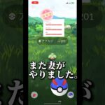 【個体値100%】アマカジコミュデイお疲れ様でした！　　#ポケモンGO #pokemongo #ポケモン #ポケモンgo #アマカジ　#コミュニティデイ