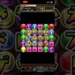 パズドラ　酒5連