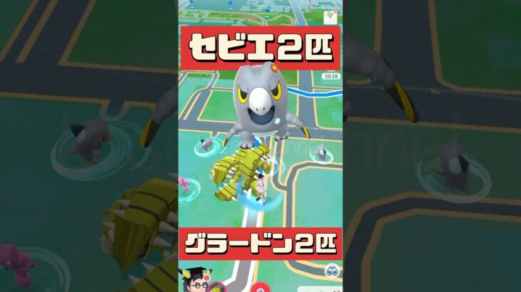 【ポケモンGO】【注意】⚠️セビエ出過ぎ問題！ #こうせいちゃんねる #セビエ #2024年5月12日