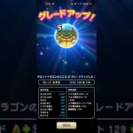 #82【ドラクエウォーク】やっとギガントドラゴンの心がSに辿り着きました