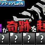 ガンダムコラボガチャ2を5回引いて出たキャラでクエストLv14に挑む！【パズドラ】