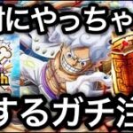 【トレクル】還元祭、損するガチ注意！！10周年を迎えるうえで絶対にやってはダメなこと【OPTC】【One Piece Treasure Cruise】