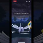 【ポケモンGO】スーパーリーグ#ポケモンgo #gbl #スーパーリーグ