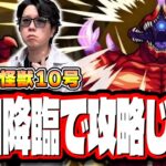 【🔴モンストLIVE】超究極「怪獣10号」を初回降臨で攻略じゃ!! 最適性＆効率の良い攻略周回パーティーは⁉ 情報交換しながら一緒に探そうぜ!!【怪獣8号コラボ】