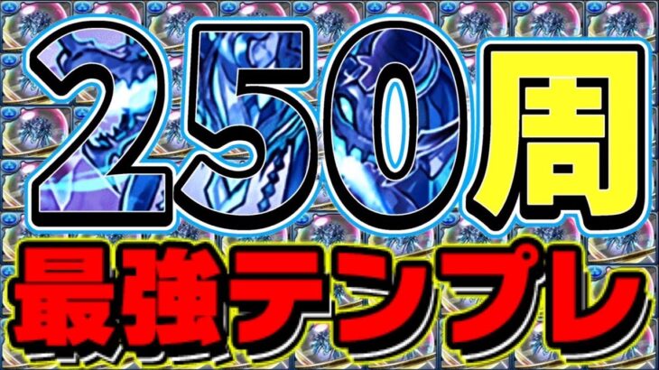 【パズル力不要】新千手250周ニキの最強編成が快適すぎた【パズドラ】