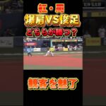 紅vs周対決#プロスピaガチャ #プロ野球スピリッツ2022 #プロスピa #プロ野球 #野球 #紅林弘太郎 #周東 #オリックスバファローズ #ソフトバンクホークス