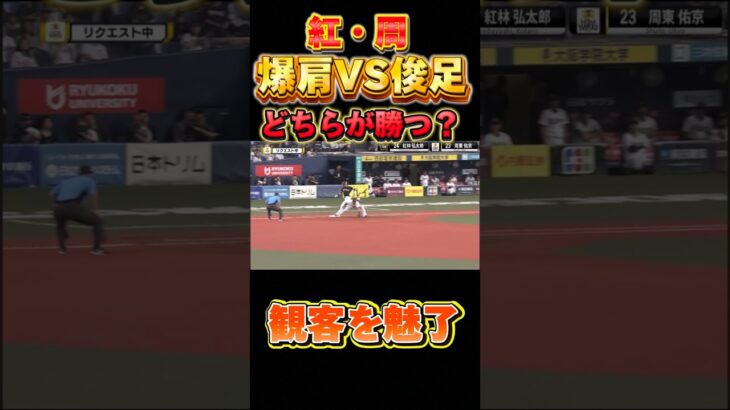 紅vs周対決#プロスピaガチャ #プロ野球スピリッツ2022 #プロスピa #プロ野球 #野球 #紅林弘太郎 #周東 #オリックスバファローズ #ソフトバンクホークス