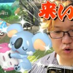 ネッコアラ色違い狙ってたのに、アレ?超美味しい場所に着いたぞ??【ポケモンGO】