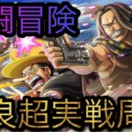 共闘冒険！野良超実戦周回！［OPTC］［トレクル］［ONE PIECE　Treasure　Cruise］［원피스 트레져 크루즈］［ワンピース］