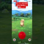ポケモンGO Pokémon GO ポケットモンスター Pokémon 1日目　#short #shorts #ポケモンGO #ポケモンgo #pokemnngo #pokemon