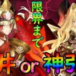 【FGO】天井まで回すか、ドラコー宝具３達成するか…ガチャ回す！（リリムハーロット）【fate/grand/order】