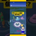 【ポケモンGO】高個体値ほしい!野生セビエに遭遇！ #ポケモンgo #セビエ#野生レア#pokemongo