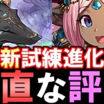 【強みと懸念点】試練ハトホルと試練アヌビスが実装!!作るべき性能なのか、評価します。【パズドラ】