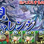 1週間ぶりにパズルする男が挑む新千手チャレンジ初見プレイ【パズドラ】