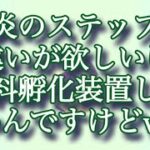 【ポケモンGO】炎のステップ 色違いが欲しいけど無料孵化装置しかないんですけどwww #shorts