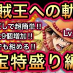 【トレクル】海賊王への軌跡 VS エース Lv.99まで対応 お宝特盛り編成 超簡単！組みやすい！お宝最大9個追加！全バトル対応！【OPTC】【One Piece Treasure Cruise】