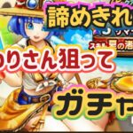 【ドラクエウォーク】【DQW】ひまわりさんが欲しい！ひまわりさん狙って夫婦でガチャっ！