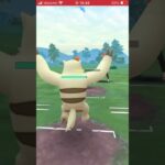 育成終わったヤルキモノが使いやすい#ポケモンgo#ポケモン