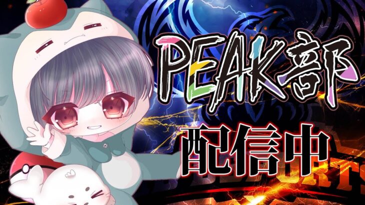 【荒野行動】Peak部