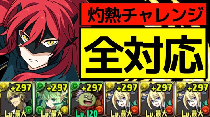 【全共通】簡易アンジェリーナPTで灼熱チャレンジ完全攻略！Lv1,Lv2,Lv4,Lv3,LvEXすべて安定！代用は概要欄【パズドラ】