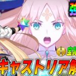 【FGO】水着キャストリアは強い？1年使ってみての感想を交えて性能解説！目標宝具レベルは？【バサトリア】