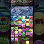 #shorts パズドラ ジノ&トリスタン  新千手 ボス #パズドラ #ジノ&トリスタン #コードギアスコラボ #新千手 #コードギアス #アーニャ&モルドレッド #多色