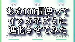 【ポケモンGO】あめ100個使ってイッカネズミに進化させてみた #shorts