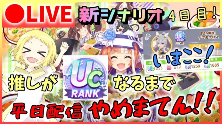 【ウマ娘/生放送】4日目！UCチャレンジ！推しがUCになるまで平日配信やめまてん！いま最高UD5！あと半分！そろそろ…本気ださないと！神タマで初UCとるでー！！